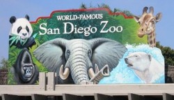 The World Famous San Diego Zoo